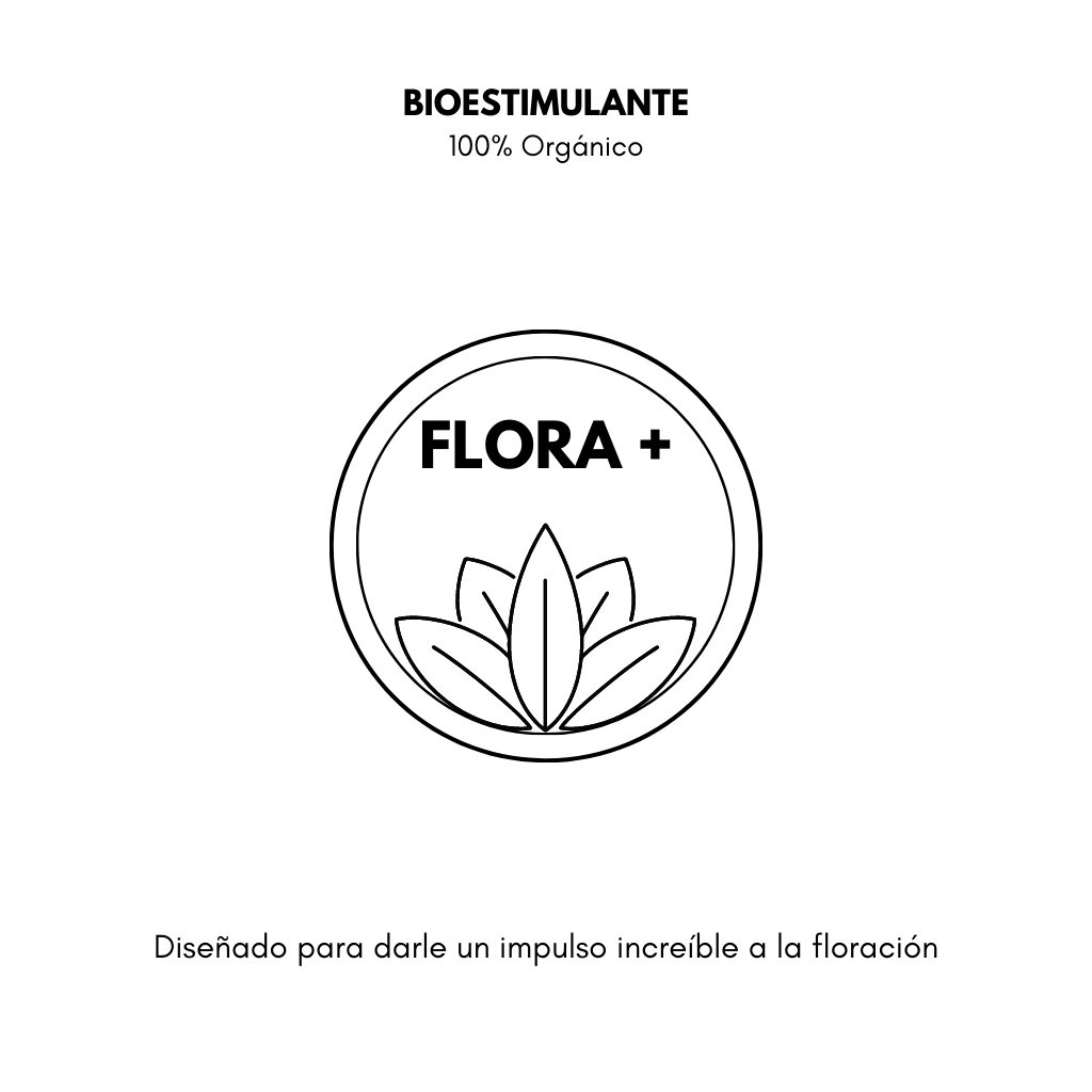 Flora +
