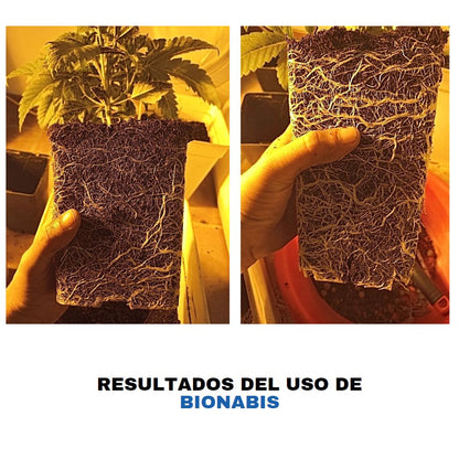 BioNabis